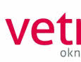 Vetrex zdobywa laury aż w trzech konkursach