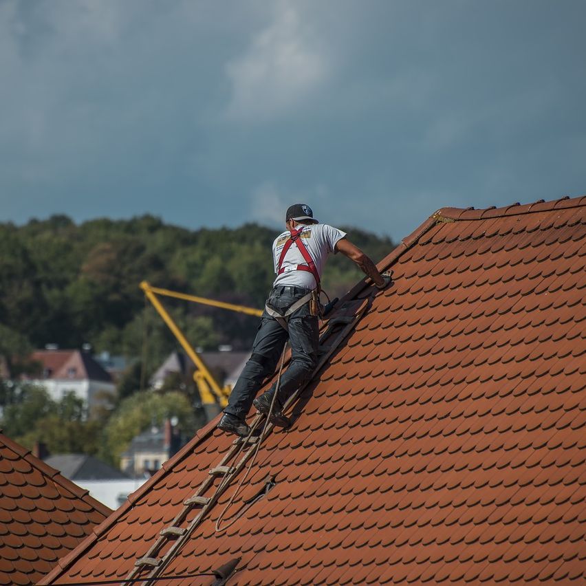Zdjęcie kategorii